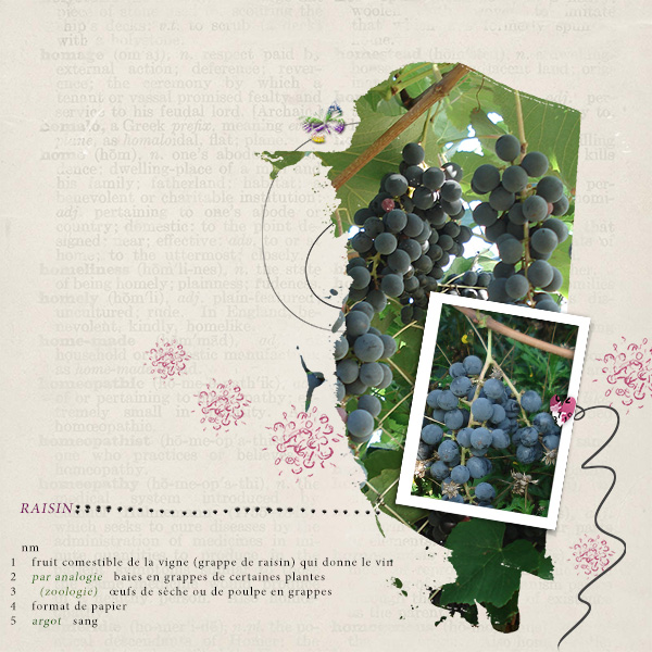 My Grapes