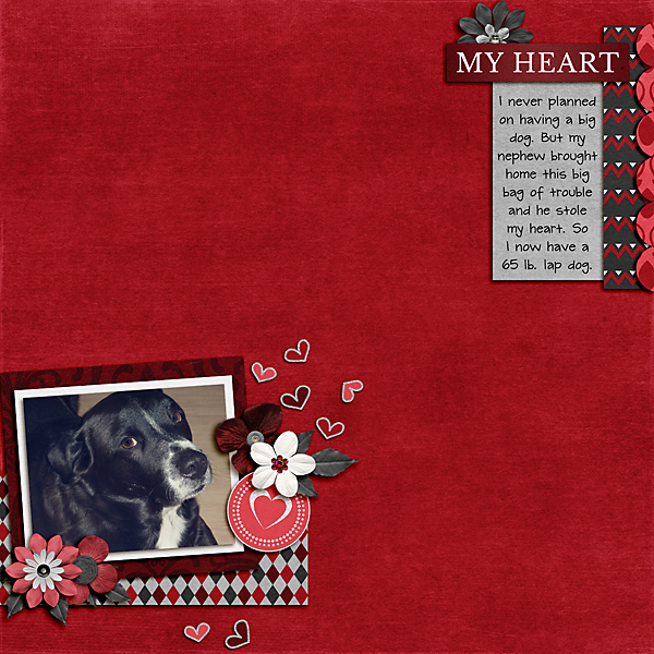 My Heart