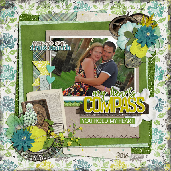 my hearts compass