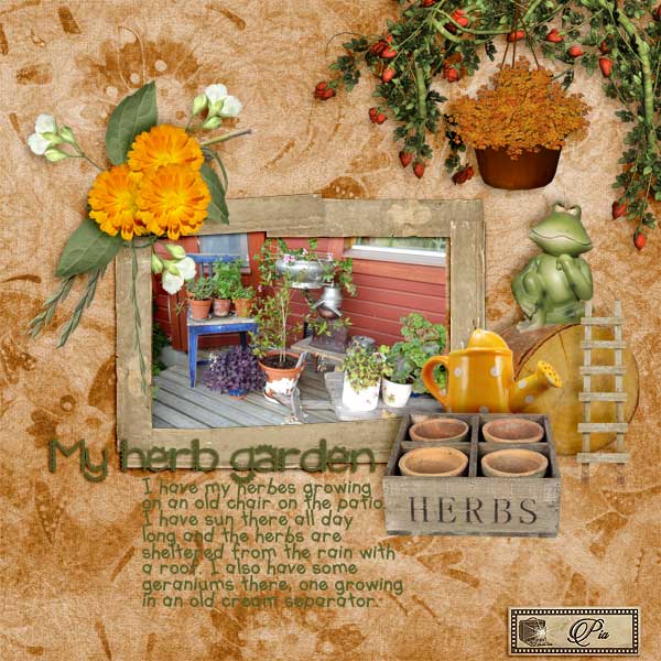 My-herb-garden