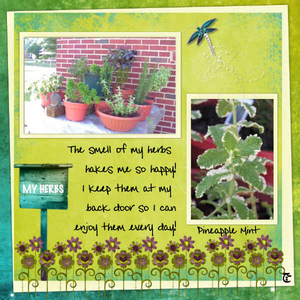 My Herbs