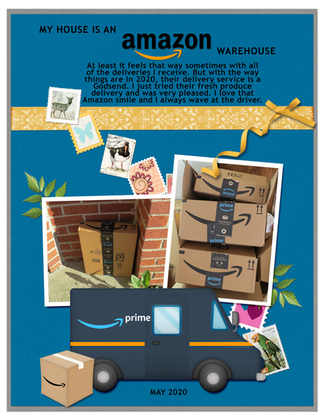 My House is an Amazon Warehouse