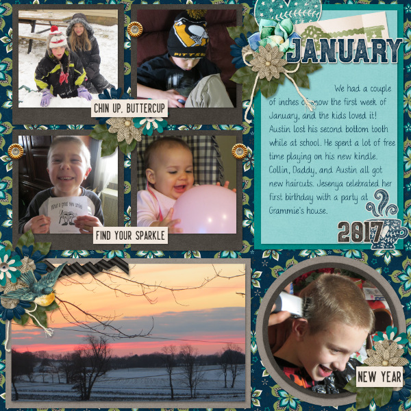 My January 2017