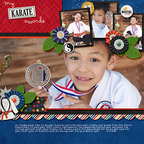 My Karate Awards