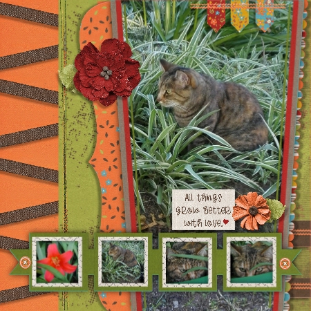 My kitten grows!