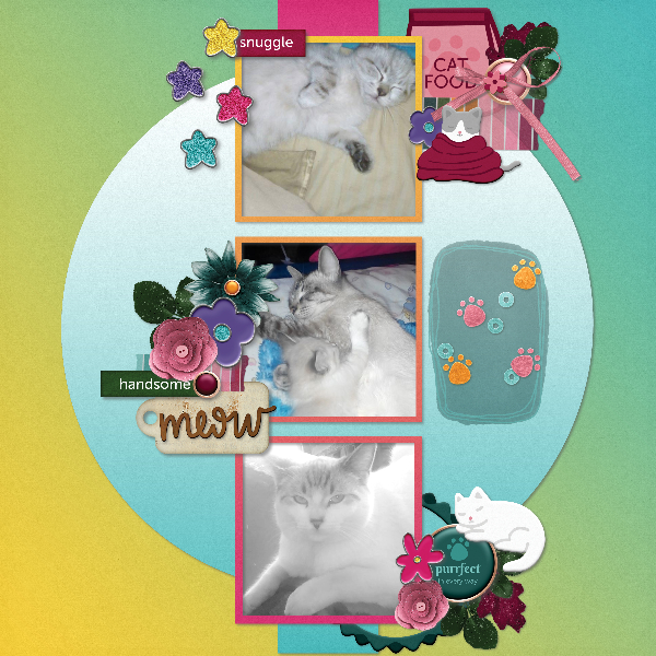 My kitties