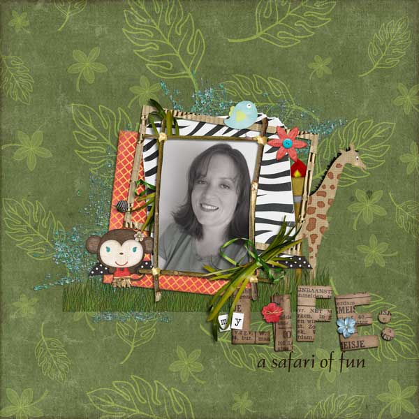 my life: a safari of fun