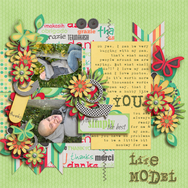 My LiFe Model