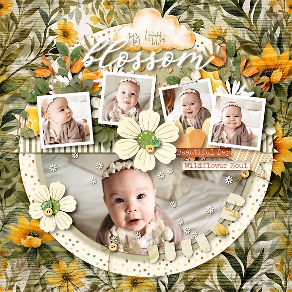 My Little Blossom