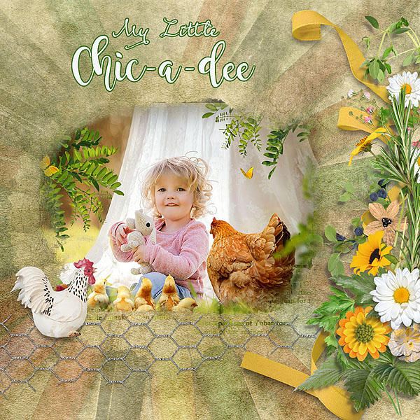 My Little Chic-a-dee