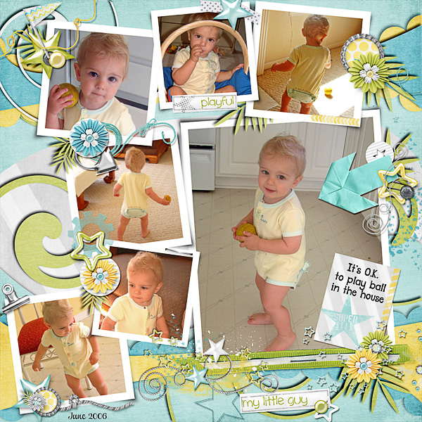 My Little Guy