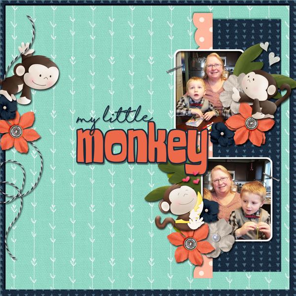 My Little Monkey