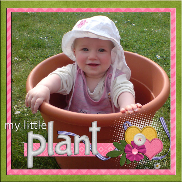 my little plant
