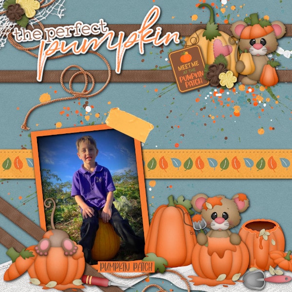 My Little Pumpkin