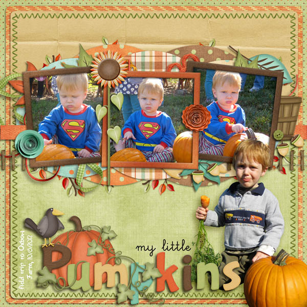 My Little Pumpkins
