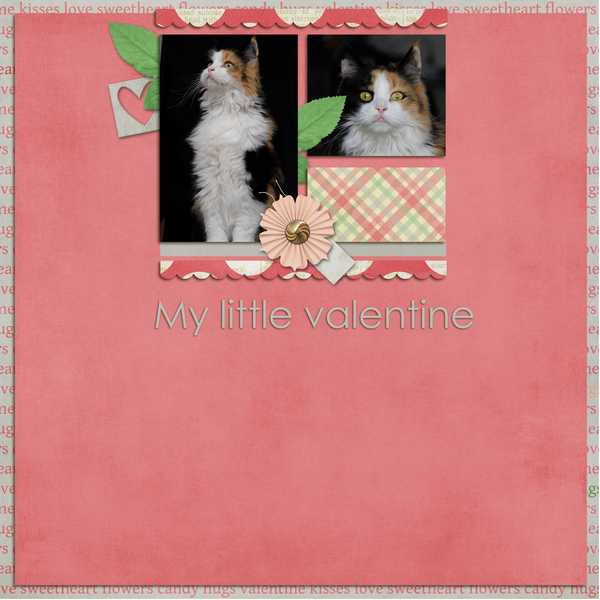 my little valentine