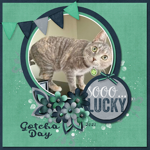 My Lucky Charm