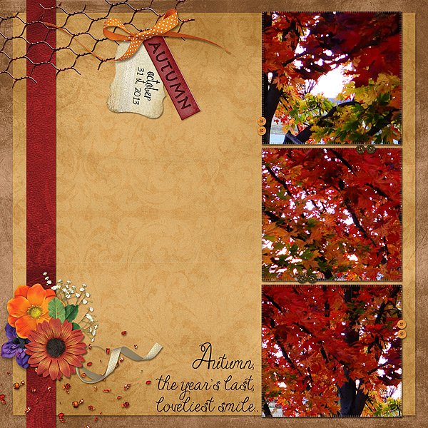 My Maple Tree