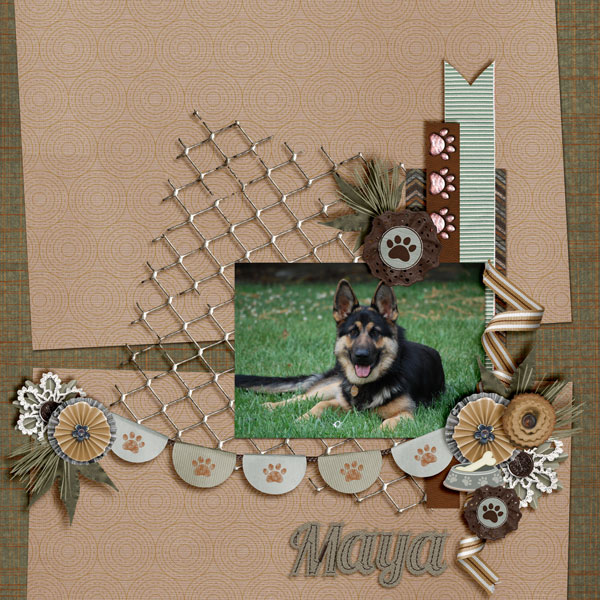 My-Maya