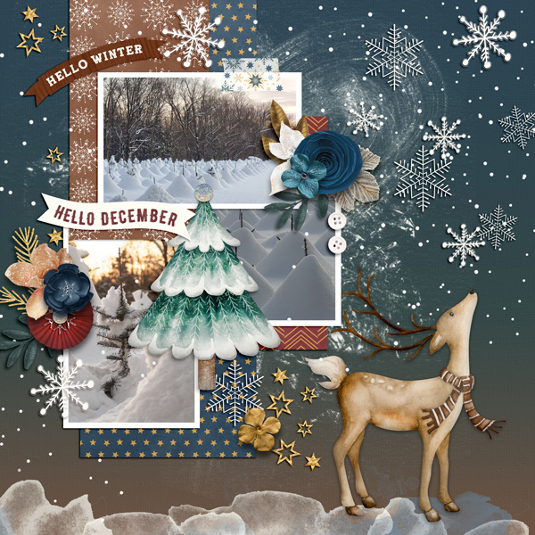 My Memories December Snowstorm