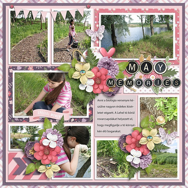 My memories May