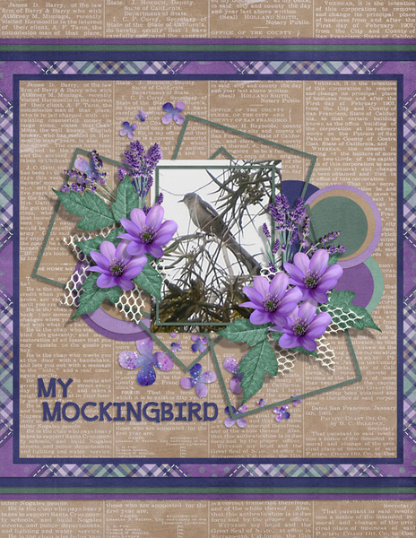 My Mockingbird