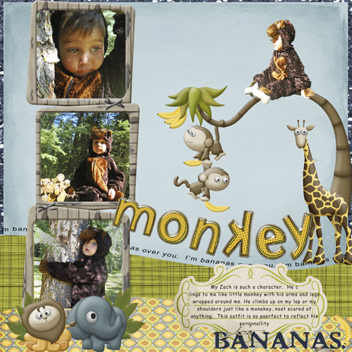 My Monkey