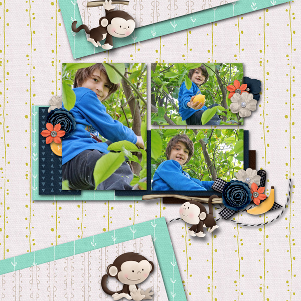 my monkey