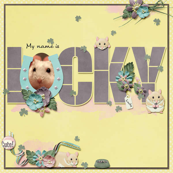 My name is Lucky!