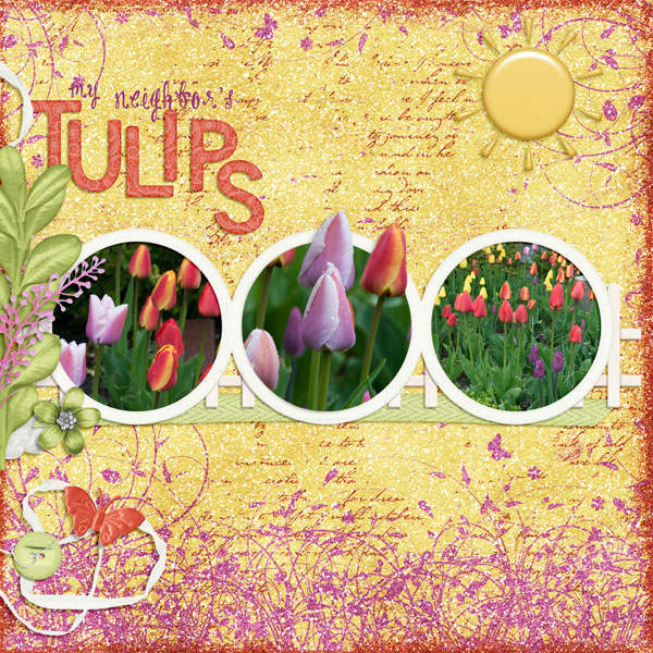 My Neighbor's Tulips