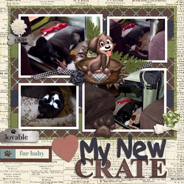 My New Crate