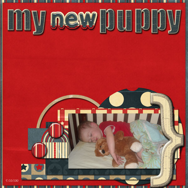 My new puppy