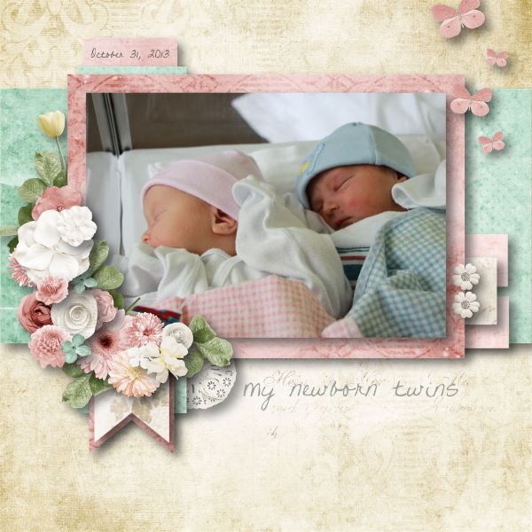 My Newborn Twins