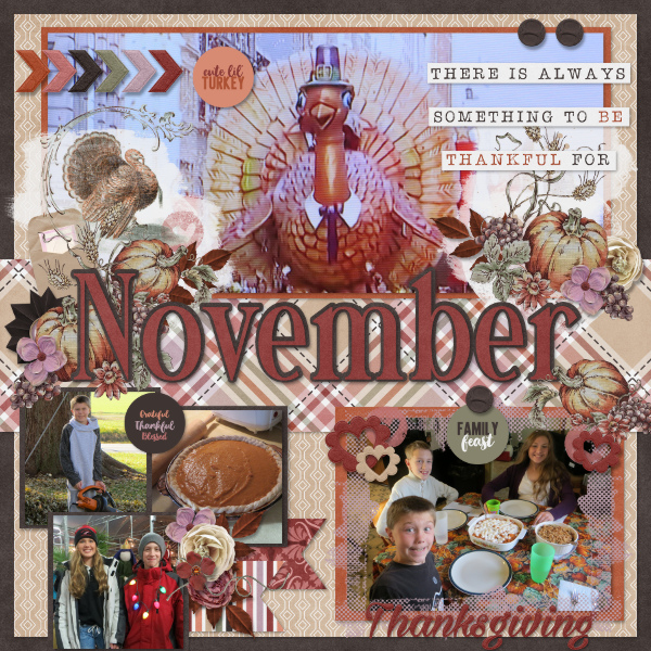 My November 2019