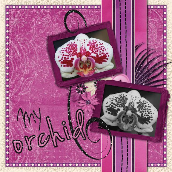 My Orchid