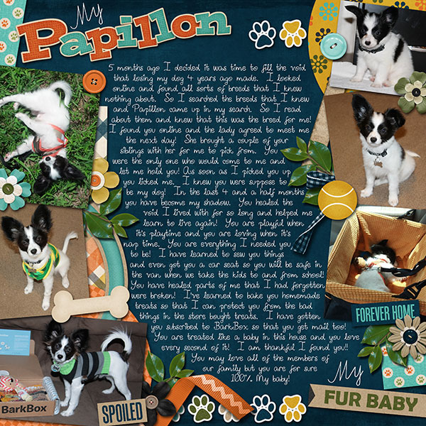 My Papillon My Shadow