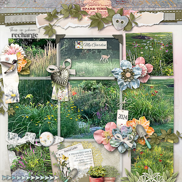 My Perennial Garden in 2024
