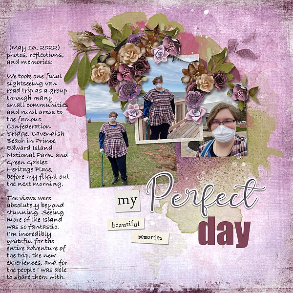 My Perfect Day