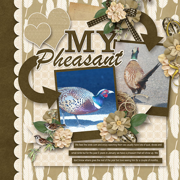 My-Pheasant