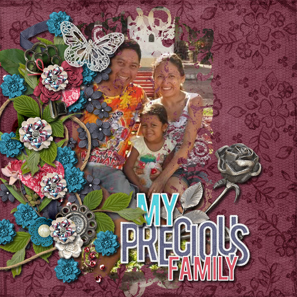My Precious Family