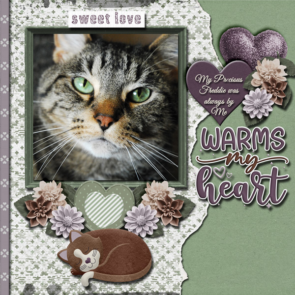 My Precious Love who plays over the Rainbow Bridge