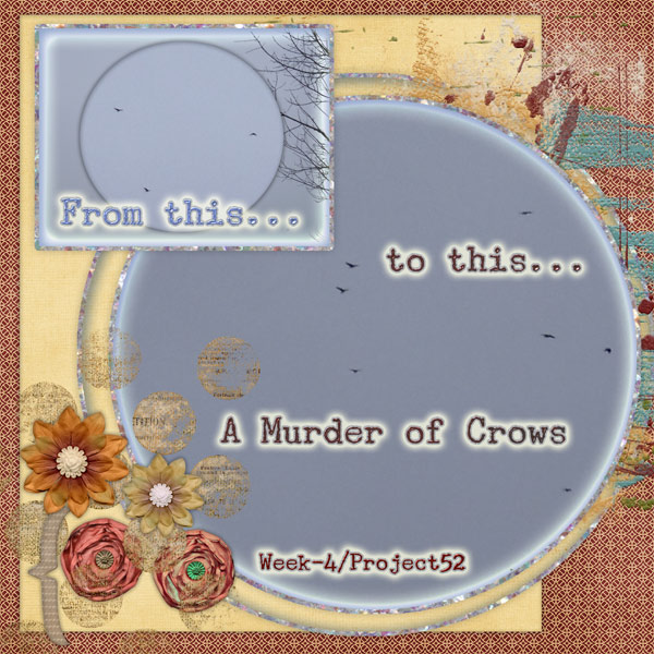 My Project52 - Week 4, A Murder...
