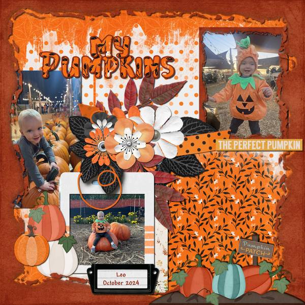 My Pumpkins