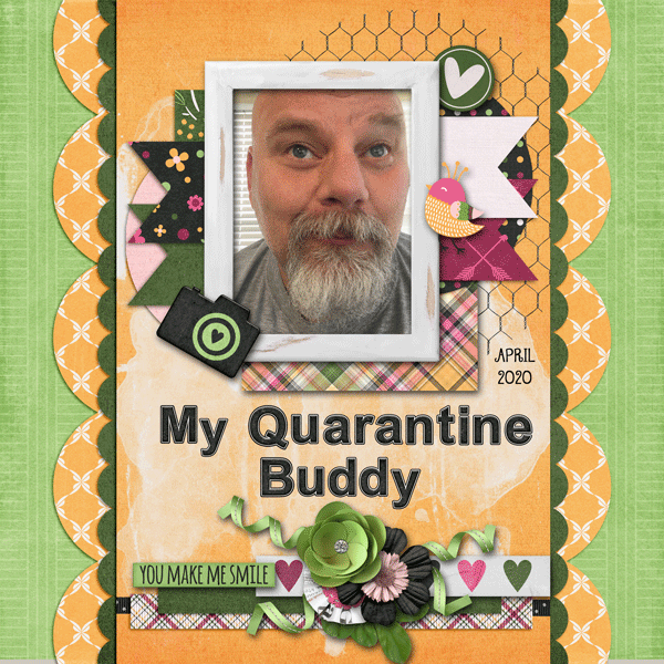 My Quarantine Buddy