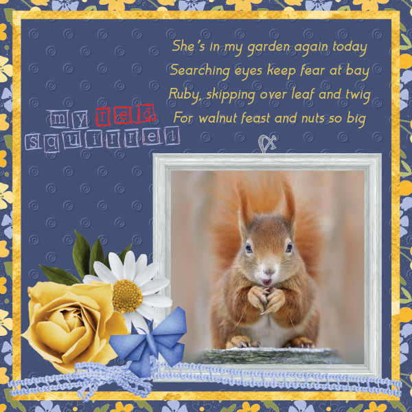 My Red Squirrel