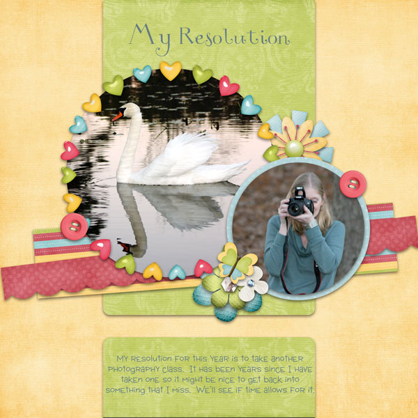 My resolution