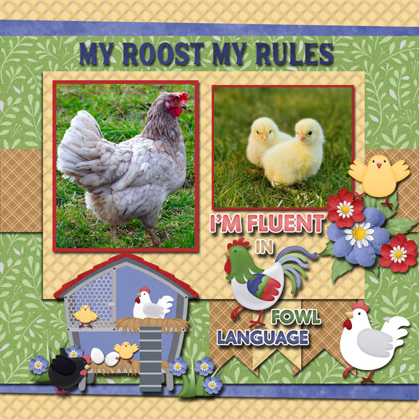 My Roost My Rules
