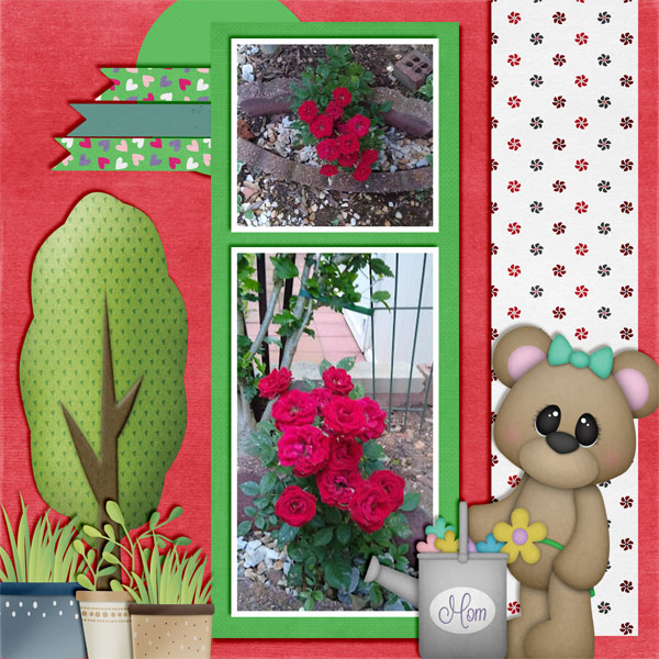 My Roses 2023