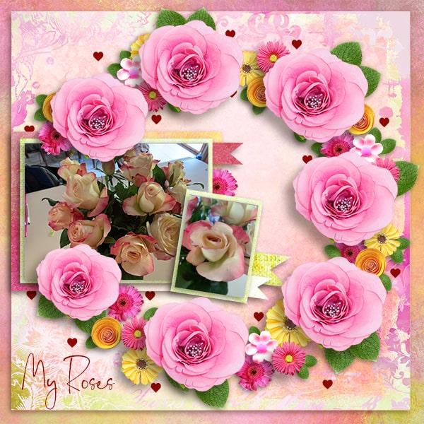 My Roses