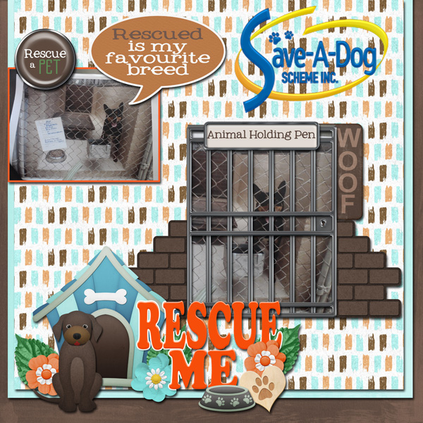 My second adoption - Sam